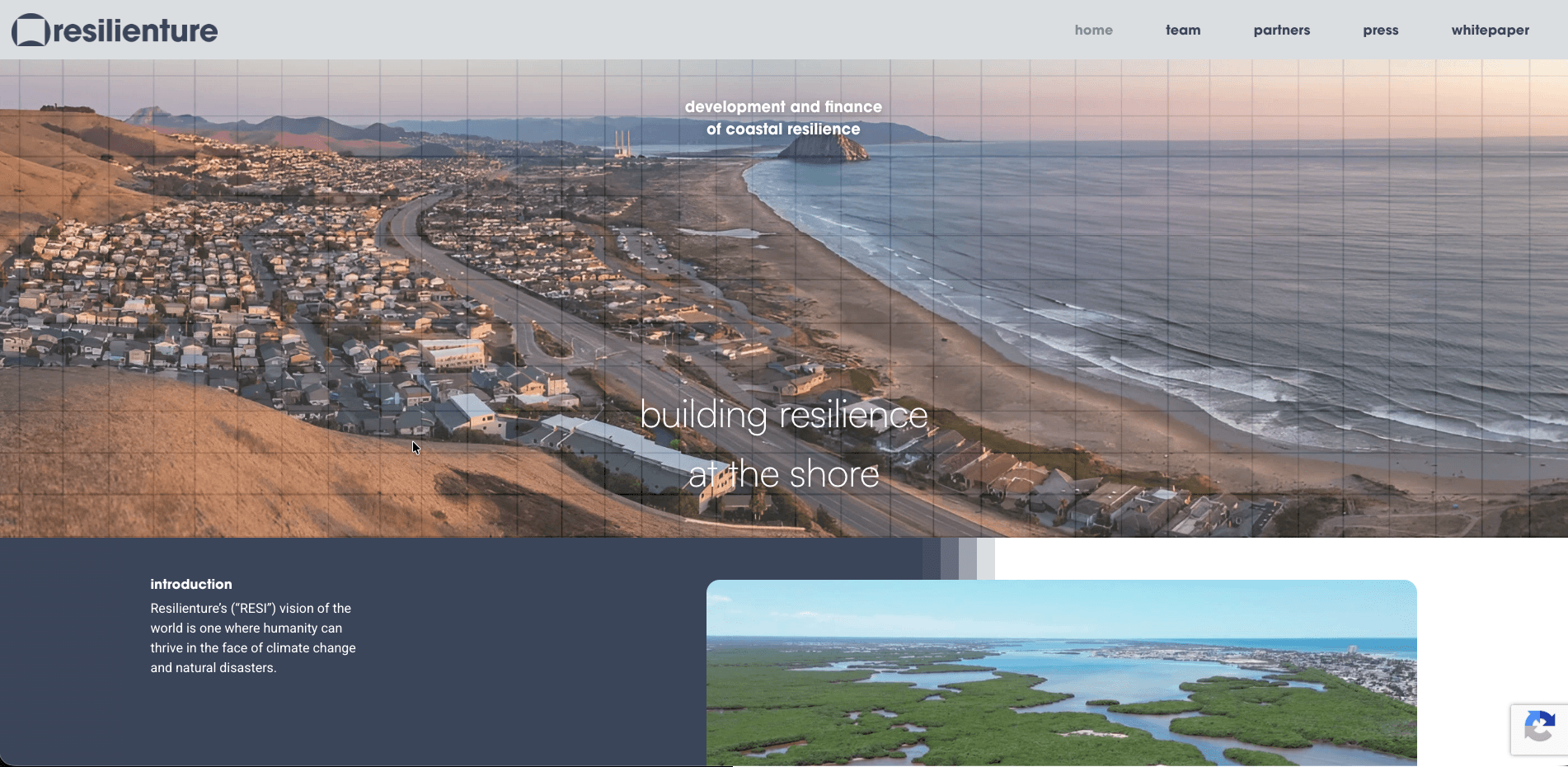 Resilienture website screenshot for consulting industry