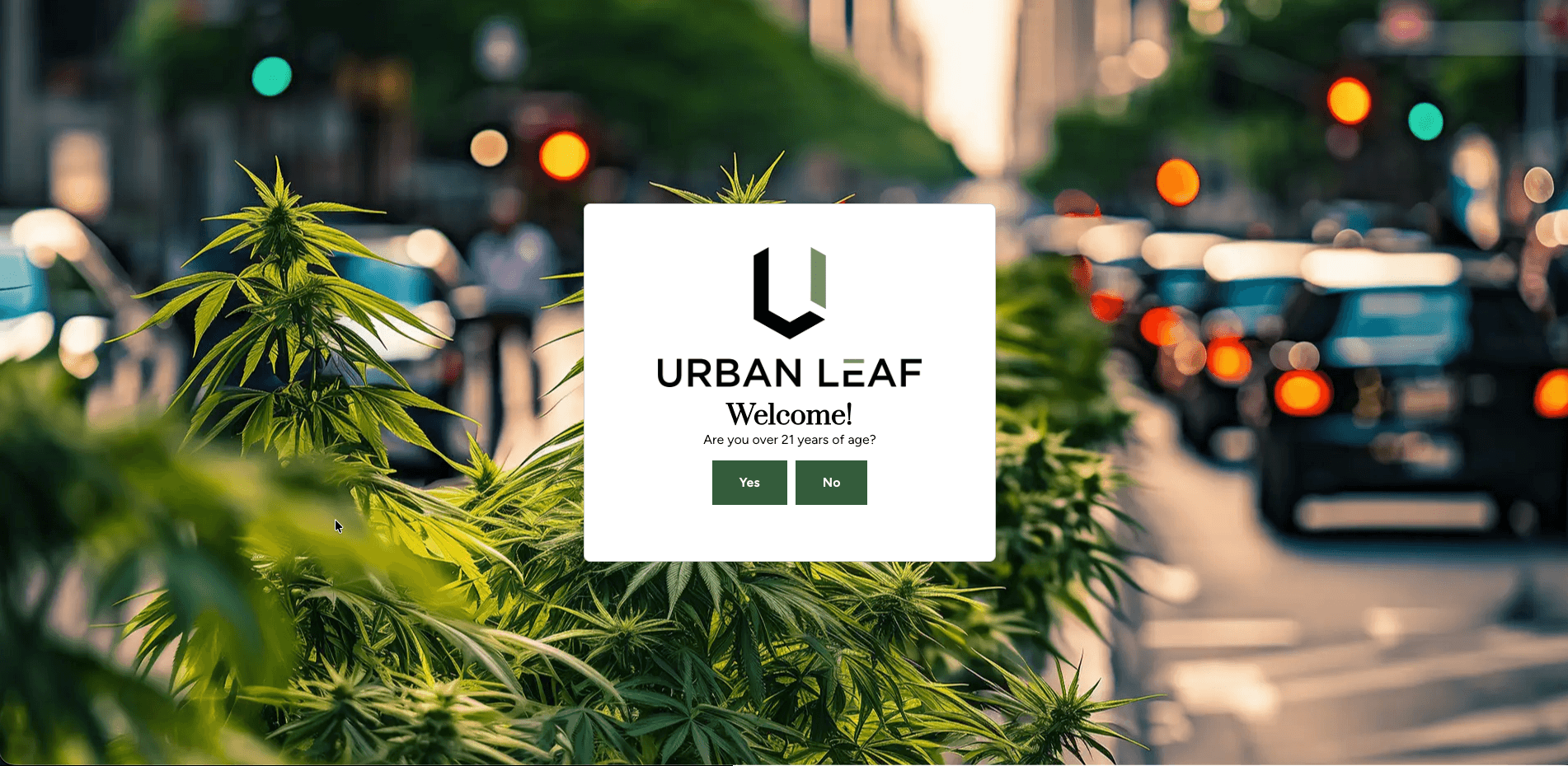 Urban Leaf screenshot